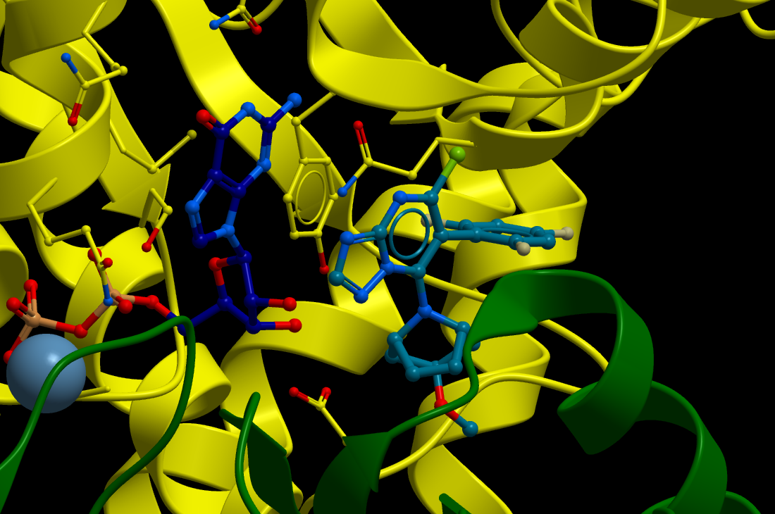 Microtubule-Modulating Triazolopyrimidines: A Versatile Platform for Therapeutic Discovery